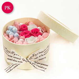 vU[uht[ {bNXt[  Mtg AW 蕨 j KN o J[l[V z  킢 a v[g ̓ [whd][md][kd][rcp] / t[ZN