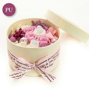 vU[uht[ {bNXt[  Mtg AW 蕨 j KN o J[l[V z  킢 a v[g ̓ [whd][md][kd][rcp] / t[ZN