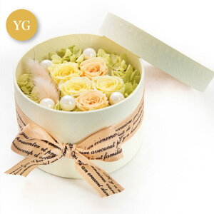 _10%OFFN[|^ vU[uht[ {bNXt[  Mtg AW 蕨 j KN o J[l[V z  킢 a v[g ̓ [whd][md][kd][