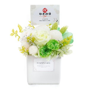 vU[uht[ Mtg j v[g  ~j   AWg bZ[WJ[h 킢 o [Y p j   hV̓ / ij [nnf][rcp]