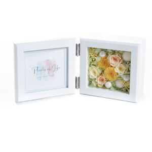 vU[uht[ ʐ^ Mtg v[g  j  t[AWg  AWg bZ[WJ[h 킢 o [Y z ʐ^ hV̓ / 