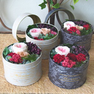 vU[uht[ t[{bNX Mtg j  j   AW 킢 t[AWg A[gt[ KN o [Y sN v[g ̓ [