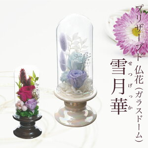 ~  vU[uht[   KXh[ AWg 䋟 Mtg  ފ  蕨 ~ V~ @v @ d h[ ~j P[X dp zCg  u