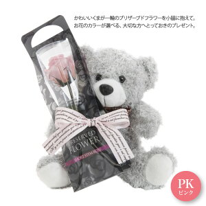 vU[uht[ efBxA o  ʂ  u[P O[  Mtg  ԑ CeA j ͂Ȃ 킢 KN a v[g ̓ [md][kd][wd][rcp] / 