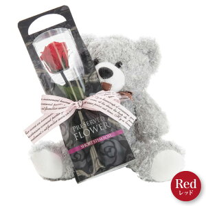 vU[uht[ efBxA o  ʂ  u[P O[  Mtg  ԑ CeA j ͂Ȃ 킢 KN a v[g ̓ [md][kd][wd][rcp] / 