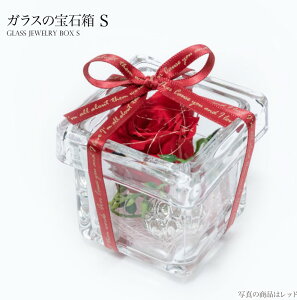 vU[uht[  Mtg v[g KX̕Δ j ̓ [whd][md][kd][rcp]