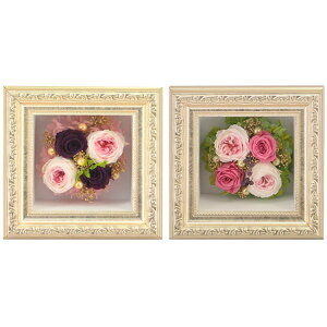 _10%OFFN[|^ vU[uht[  fRt[ Ǌ| AW Mtg v[g 蕨 zCgf[ v[g ̓ [whd][md][kd][rcp]