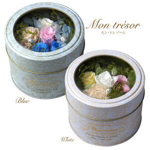 _N[|10%OFF^ vU[uht[ Mtg {bNXt[  uL  j j   AW 킢 ~j t[AWg A[gt[ ͂Ȃ KN 