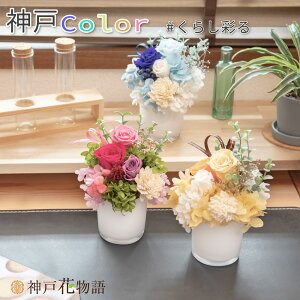 hV̓ vU[uht[   Mtg KN o \t[  z [J JX~\E 蕨 j a o[Xf[ \ v[g ̓ [md][kd][nnf][rcp] / _˃J