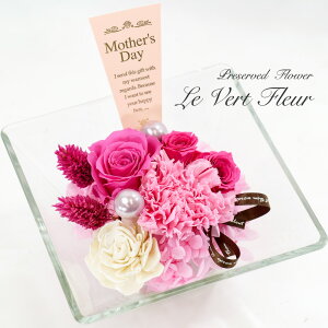 vU[uht[  J[l[V Mtg AW KX P[X Ԋ  蕨 j KN o sN 킢  v[g ̓ [whd][md][kd][rcp] / F[t[