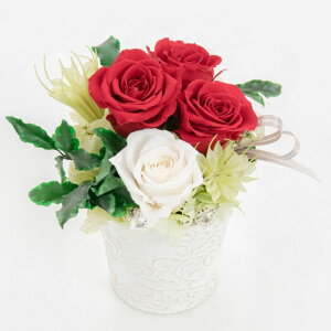 vU[uht[ KN o [Y 蕨  sN bh j  Mtg  AW 킢 a v[g ̓ [whd][md][kd][rcp] / |bgEfE[[Y