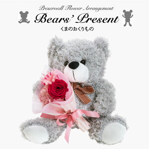 プリザーブドフラワー テディベア バラ 一輪 ぬいぐるみ くま ブーケ ソラフラワー ドライフラワー グレー 花 ギフト おしゃれ 花束 インテリア お祝い 枯れない かわいい 薔薇 誕生日 プレ
