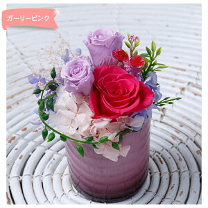 vU[uht[  ||t[  Mtg 蕨 j  v[g ̓ [whd][md][kd]