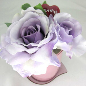 _10%OFFN[|^ y ԁz [YAW p[v(G}DꂽCTG} CeA j Mtg v[gj [rcp]