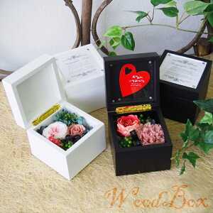 _10%OFFN[|^ `12/11 1:59 vU[uht[  ؂̕Δ Mtg v[g ̓ [whd][md][kd][rcp]