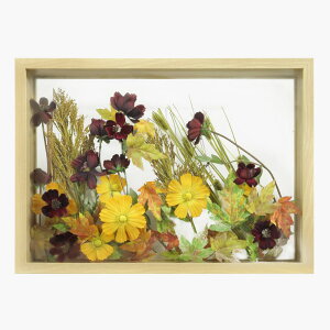 ʌ Z[  {^jJt[ I[^K[f autumn garden A[eBtBVt[ ؘg z EH[O[ [rcp]