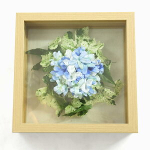 ʌ Z[  {^jJt[  hydrangea A[eBtBVt[ ؘg z EH[O[ [rcp]