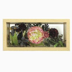 ʌ Z[  {^jJt[ Ⴍ₭ Peony A[eBtBVt[ ؘg z EH[O[ [rcp]