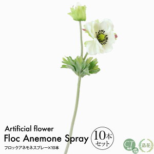 tbNAllXv[×10{Zbg 33cm } XvC CeA  CTG} A[eBtBVt[ [rcp]