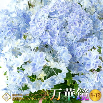 神戸花物語 母の日ギフト 21