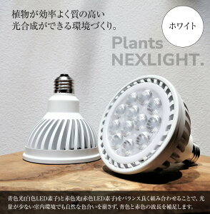 zCg ubNIׂ ϗtA 琬 LEDCg PlantsNEXLIGHT ChA O[  Ɩ  Ή ANAE k͔| E26  