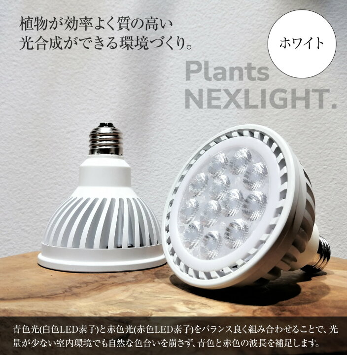 楽天市場】ホワイト ブラックから選べる 観葉植物 育成 LEDライト 