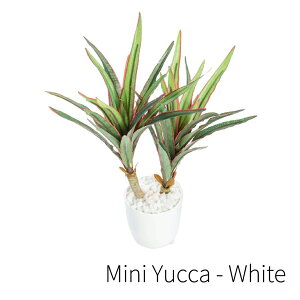 tFCNO[ ϗtA tFCN lHϗtA  ~j  G} ~j bJ   A 28cm  ~j A G} SC CTG} CeA e[u O[ zCgf[ [r