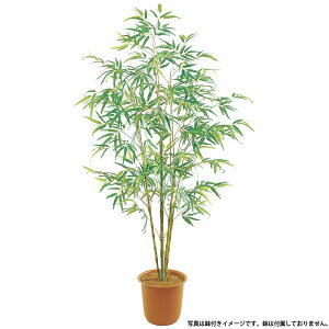 [   tFCNO[ ϗtA |  ou[c[ S 200cm | }  lH ^ [G-L][A-B]