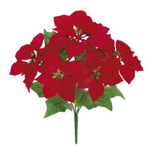 クリスマス ベル 花の人気商品 通販 価格比較 価格 Com クリスマス ベル 花の人気商品 通販 価格比較 価格 Com
