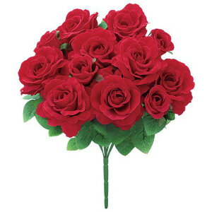 xxbgobLK[YubVi12ցj bh   fR[V NX}X Xmas[G-L][A-B]