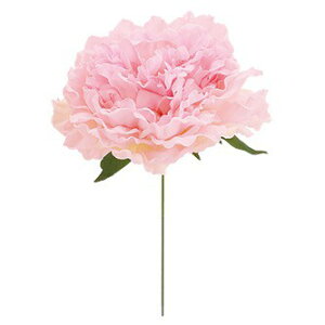 GUxXsIj[sbN sN   Nn[G-L][A-B] Be   Bep Be   Bep