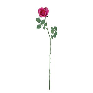 �~�V�F�����[�Y �r���[�e�B�[ ���� ���� �f�R���[�V���� �N���X�}�X Xmas[G-L]