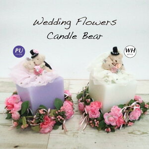 _N[|10%OFF^ EGfBOt[ LhxA p[v/zCgEGfBOACe