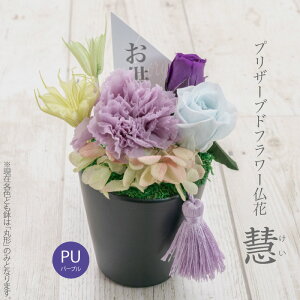 _Gg[P10{^   vU[uht[  AWg 䋟 䋟 Mtg  bZ[W ~ ފ   蕨 ~ @v @ d ~j dp / 