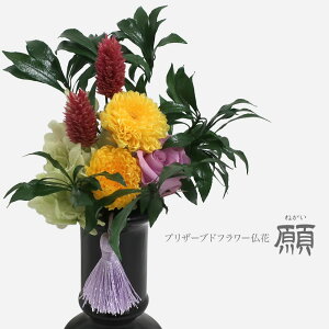 _Gg[P10{^ vU[uht[    dp d AWg 䋟 䋟 Mtg   bZ[W 蕨 ~ ފ  䋟 ~ @v @ 