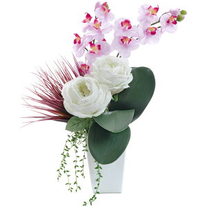 A[eBtBVt[ Ӓ AW CeA t[AWg KN o Mtg v[g  A[gt[   t@mvVX ̓ hV̓ [whd][md]