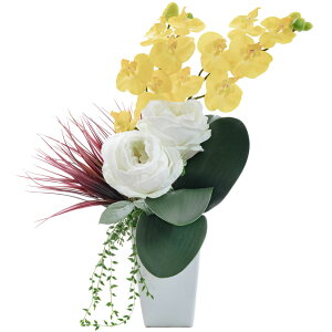 _10%OFFN[|^ A[eBtBVt[ Ӓ AW CeA t[AWg KN o Mtg v[g  A[gt[   t@mvVX 