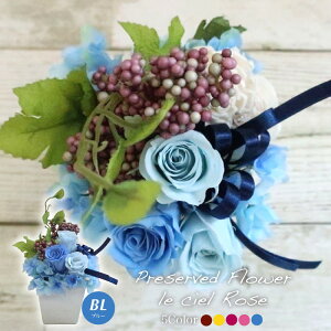 vU[uht[  Mtg VG[Y bh/CG[/bhsN/sN/u[ 2FI v[g ̓ [whd][md][kd][rcp]