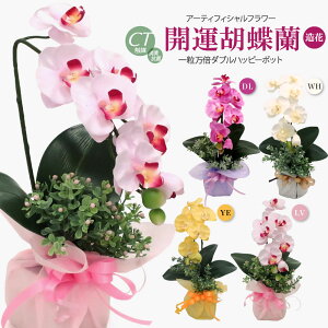 J^Ӓ ꗱ{_unbs[|bg ~fBӒ A[eBtBVt[ Mtg CTG} a JX J@j  A[gt[ v[g ̓ hV̓ [whd][md][kd][r