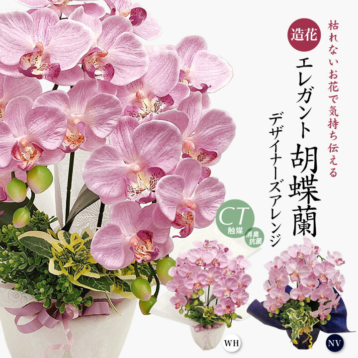 楽天市場】胡蝶蘭 造花 お祝い 花 光触媒 御祝 開店祝い ギフト 