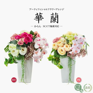  A A[eBtBVt[ KN Ӓ AW o 픫 bh sN 蕨 j CTG} L R Mtg v[g ̓ [whd][md][kd][rcp] / ؗ 
