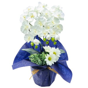  Ӓ  Mtg t[AWg  䋟 A[eBtBVt[ G} ~ R`E 3{ CTG}  蕨 ~ @v @ d  sv / 