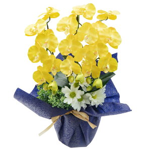 _N[|10%OFF^  Ӓ  Mtg t[AWg  䋟 A[eBtBVt[ G} ~ R`E 3{ CTG}  蕨 ~ @v @ d