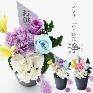 _10%OFFN[|^ `11/27 1:59 vU[uht[  (傤)  蕨 ~ @v @ d  sv A [rcp]