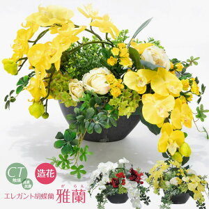 Ӓ  CG[ zCg Mtg A[eBtBVt[ 蕨 j CTG} L R KN o Mtg v[g ̓ hV̓ [whd][md][kd][rcp] / GKgӒ 뗖 