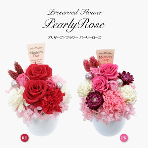 vU[uht[ Mtg j  j  ԑ  AW sN bh 킢 a ~j P[X  J[l[V z \t[ o EGfB