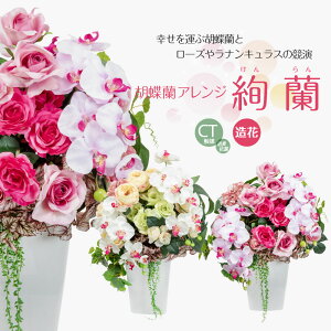  Ӓ KN o A[eBtBVt[ A  픫 sN zCg 蕨 j CTG} L R z   Mtg v[g ̓ [whd][md][kd][rcp] /  