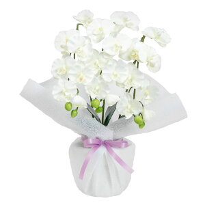  Ӓ  Mtg t[AWg  䋟 A[eBtBVt[ G} ~ R`E 3{ CTG}  蕨 ~ @v @ d  sv / 