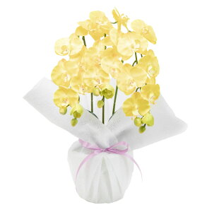  Ӓ  Mtg t[AWg  䋟 A[eBtBVt[ G} ~ R`E 3{ CTG}  蕨 ~ @v @ d  sv / 