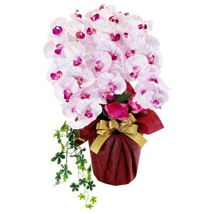 Ӓ j  G} j JXj Mtg A[eBtBVt[ a J@j  A[gt[ t@mvVX v[g ̓  [whd][md][kd][rcp] / GNZ